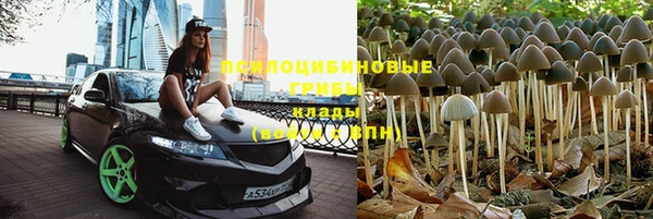 ГАЛЛЮЦИНОГЕННЫЕ ГРИБЫ Михайловка