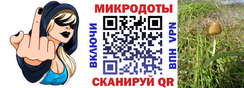 Купить где  Тетюши  Галлюциногенные грибы GOLDEN TEACHER 
